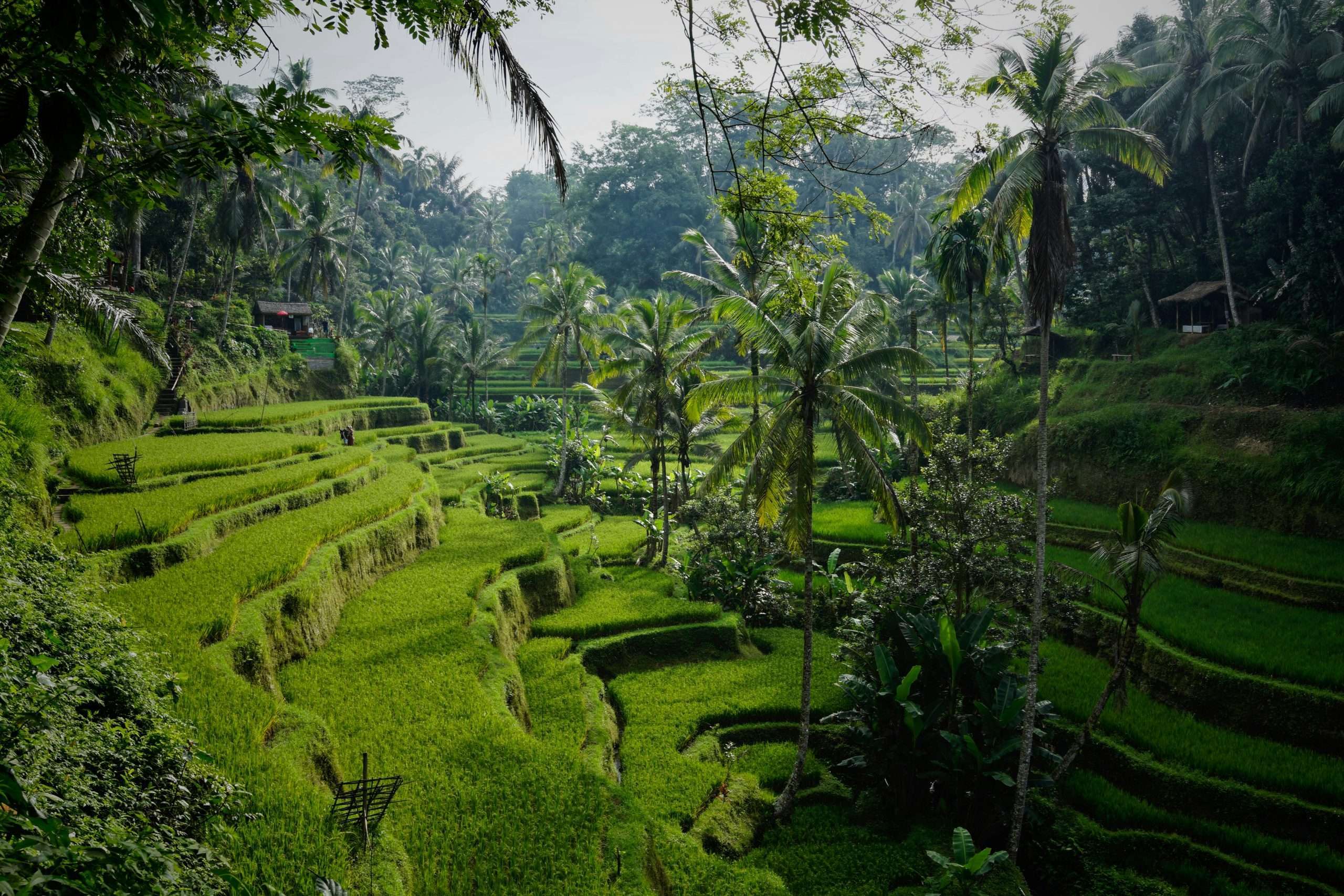 Indonezja