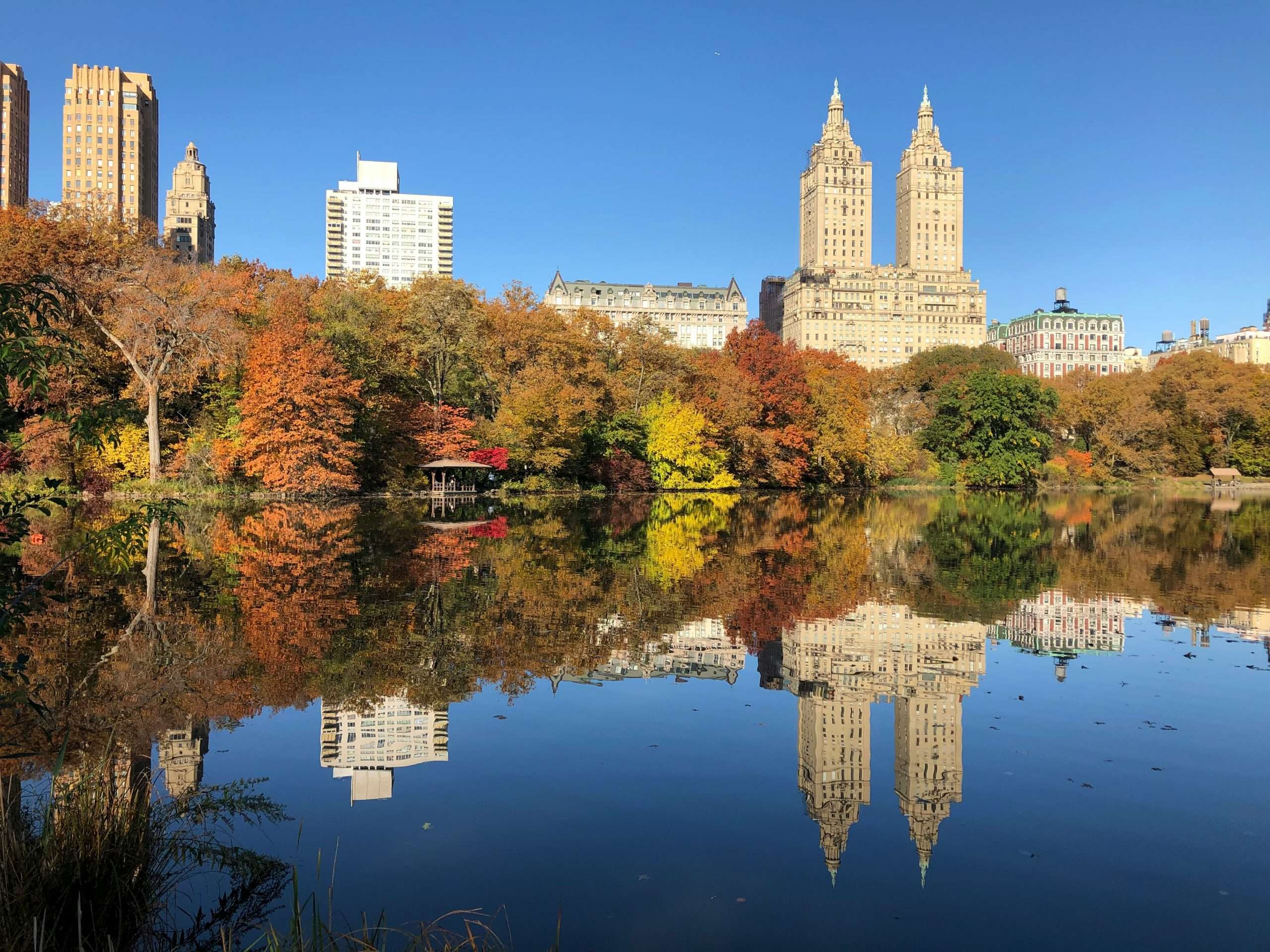 central park nowy jork