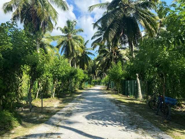 road seychelles