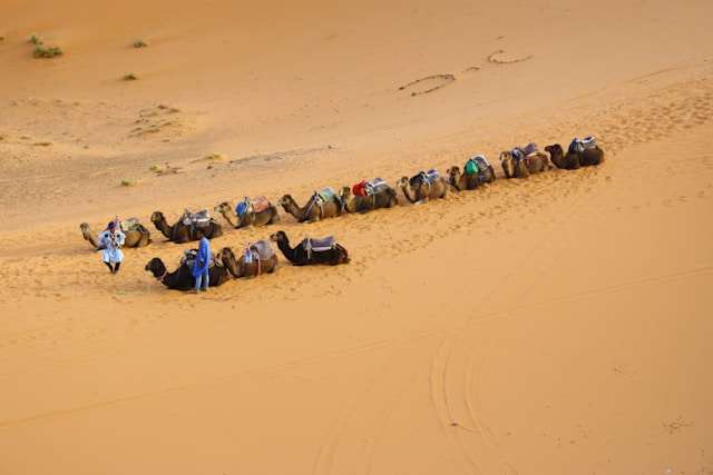 sahara