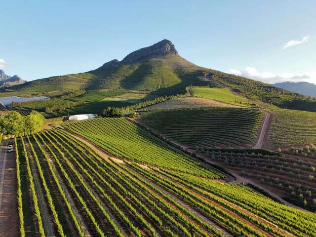 Trasa Ogrodowa Stellenbosch