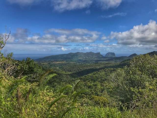 Park Narodowy Black River Gorges na Mauritiusie