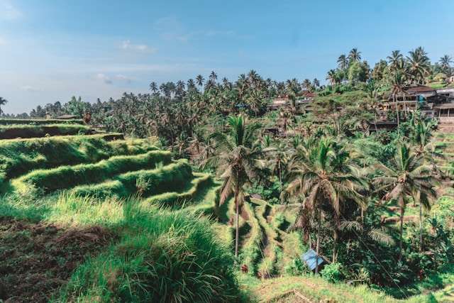 Ubud, Bali