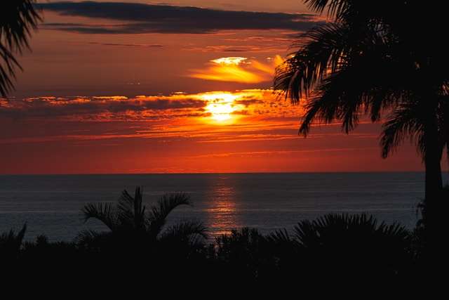 Wyspa La Palma