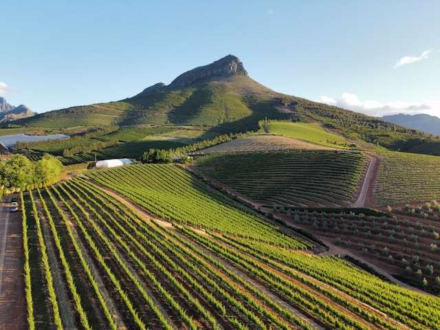 Garden Route scenic drive near Cape Town