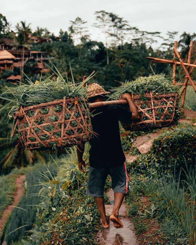 ubud bali