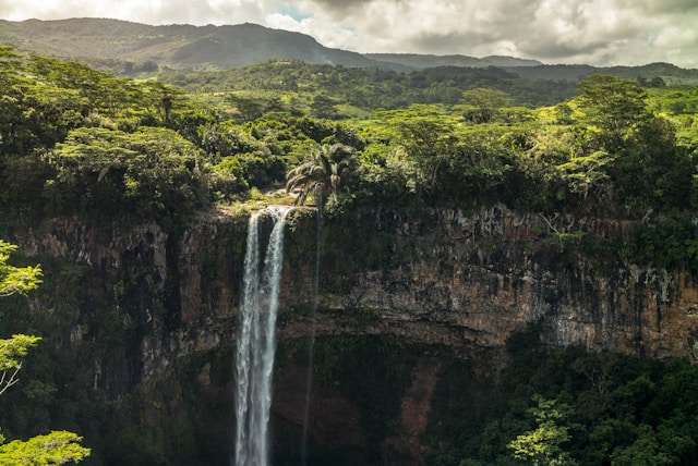 mauritius