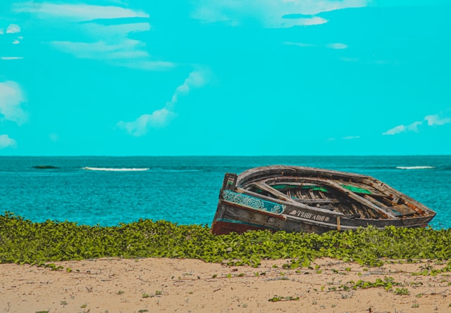 Plaża Malindi