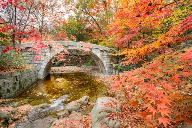 Przyroda Korei Południowej góry i lasy