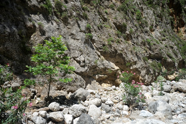 Samaria Gorge – the longest gorge in Europe