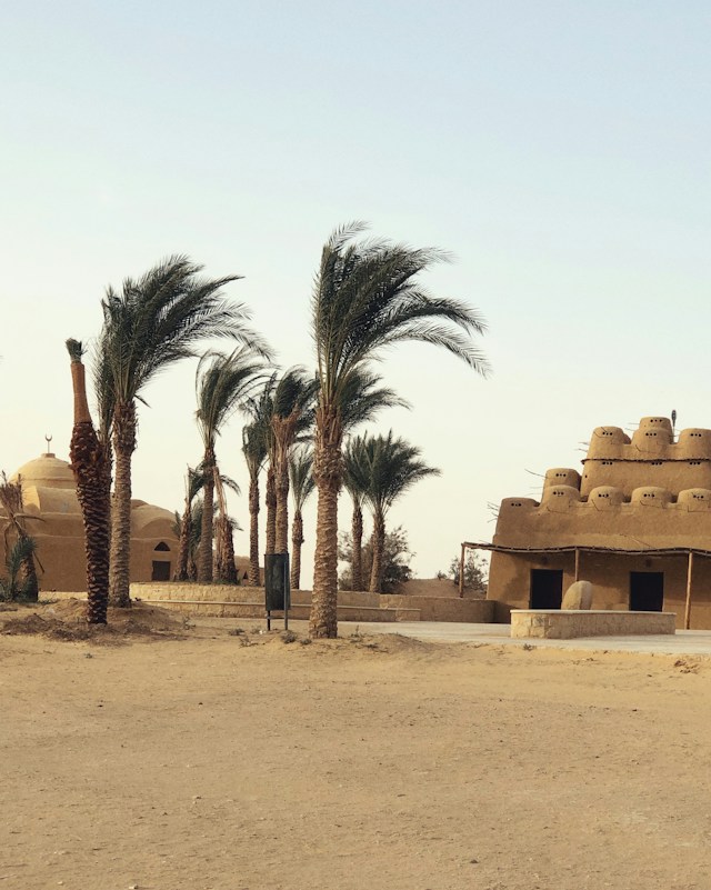 Wyprawa do Oazy Fayoum, Doliny Wielorybów i wodospadów Wadi El Rayan