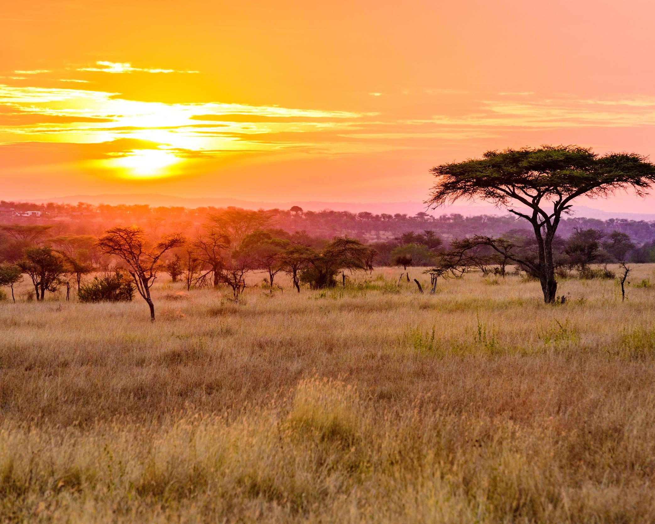 Trip: South Africa Self-Drive: Johannesburg to Cape Town | Flexible Road Trip