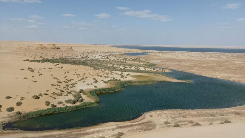Podróż: 2-dniowa wycieczka do oazy Fayoum i Wadi El Hitan z Kairu