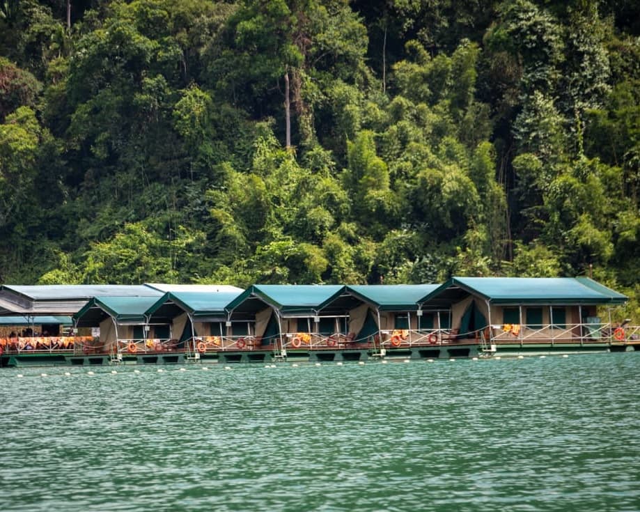 Podróż: 3 Days Jungle & Lake Camp Safari