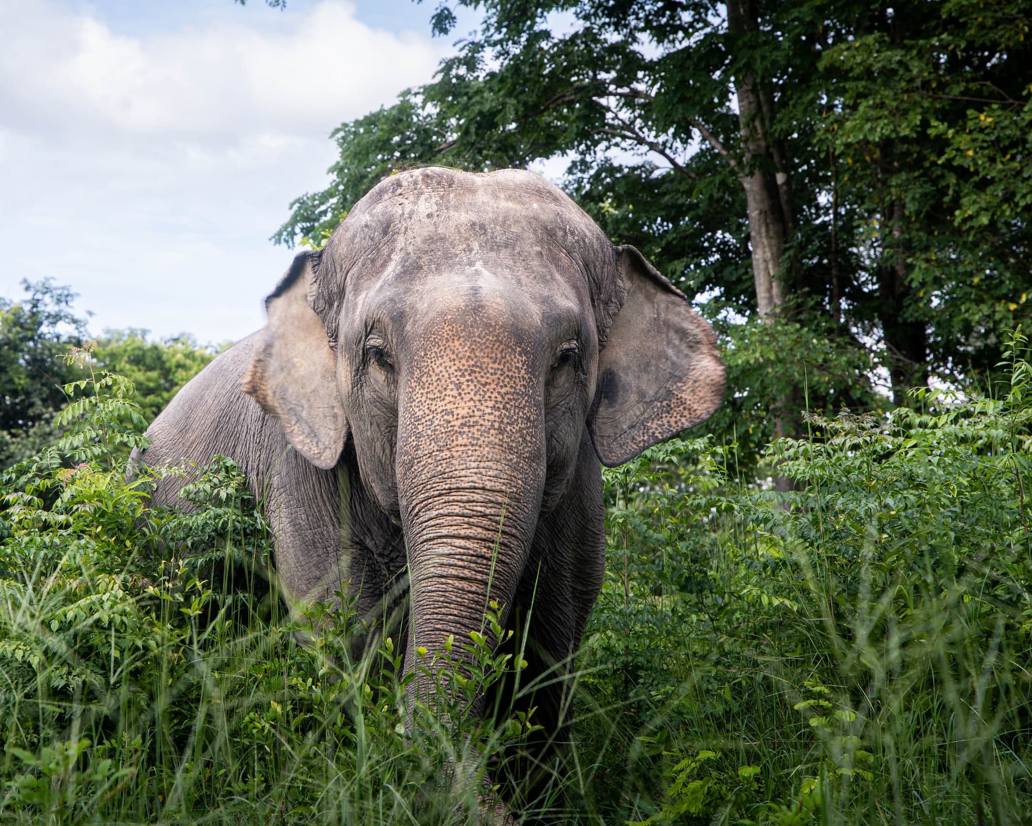 Trip: 3 Days Bush Camp Safari in Chiang Mai